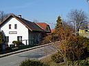 Třibřichy